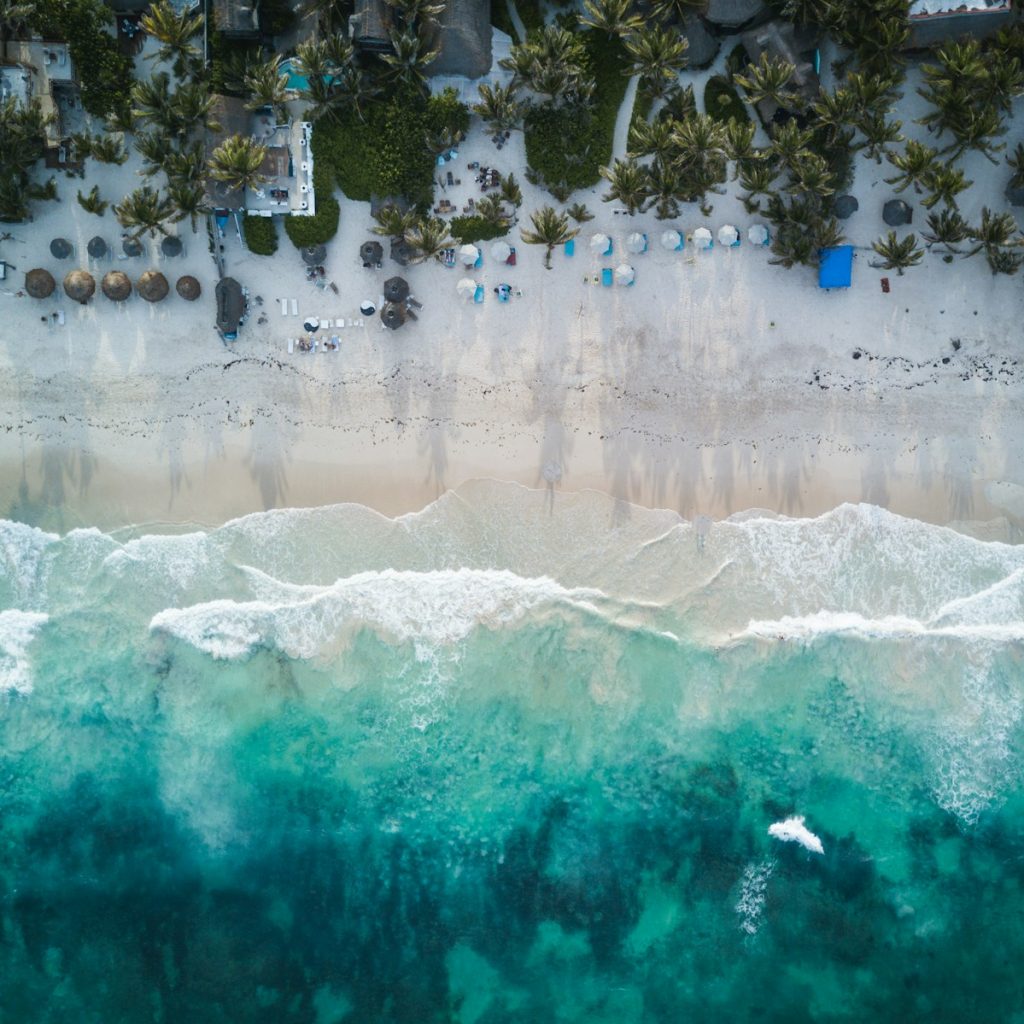 aerial photography of beach shore during daytime
